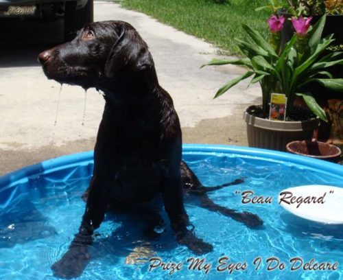 Beauslady08's profile picture. 