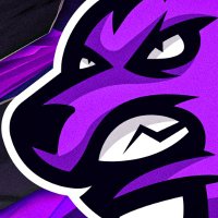 WOLFZ 🇻🇪 🐺 (@wolfznft) 's Twitter Profile