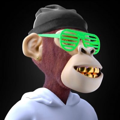 First NFT purchase Feb 2022; VeeFriends S2 | Dapper Dino | Gaming Ape Club | Roo Troop & Joeys | WAGMI ARMY | Poo Drops | Veve