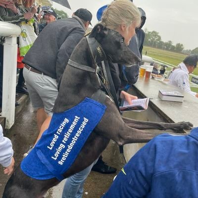 I'm Eric, a retired racer who is loving life at home with my racing mum. I help raise money for other retired greys by selling cuddles.