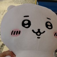 むむ@42 (@mu_mumu_40) 's Twitter Profile