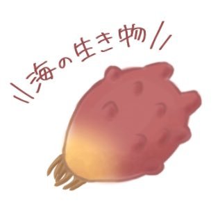 ほやさんのプロフィール画像