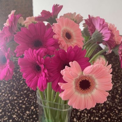 thetinykittycat's profile picture. 