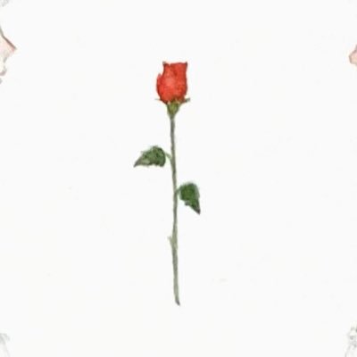 𝚗°𝚗° ご依頼受付中さんのプロフィール画像