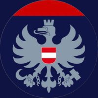 POLIZEI WIEN (@lpdwien133) 's Twitter Profile