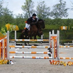 Brittan48138975's profile picture. 