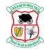 Two Mile House GAA (@twomilehousegaa) Twitter profile photo