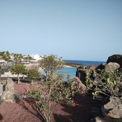 FigueraIbarra's profile picture. 