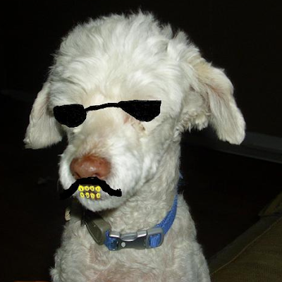 mrsdecapcali's profile picture. #1 fan of decapcali.