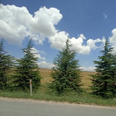 NetronTokyo's profile picture. 