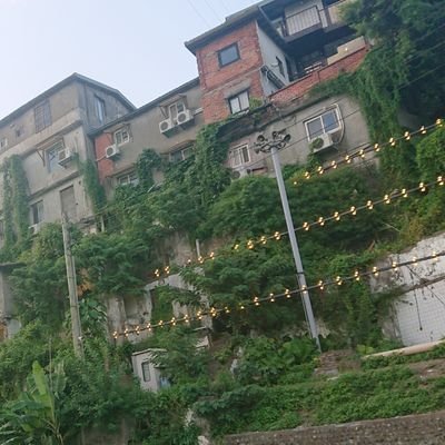 R🥀🥚さんのプロフィール画像