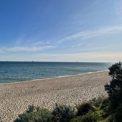 stefbmann's profile picture. 