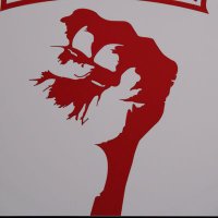 TradeUnionista (@t_u_solidarity) 's Twitter Profile