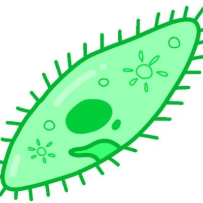 zorizoriri's profile picture. おいす