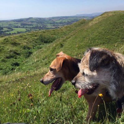 Hoomum to (l-r) Olly, BB otrb 🌈, hoogran to Norman