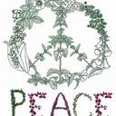 Cabrera Dora - @CabreraDora - Twitter