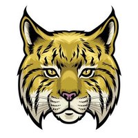 Bob-Cat-Man (@bob_cat_man) 's Twitter Profile