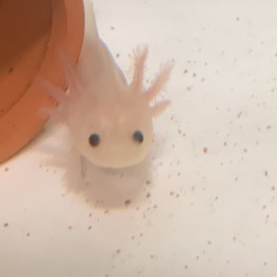 QffkJSip8XRwFzt's profile picture. こんにちは(*^^*) 絵描いてます!!  無断転載はやめてくださいね!?