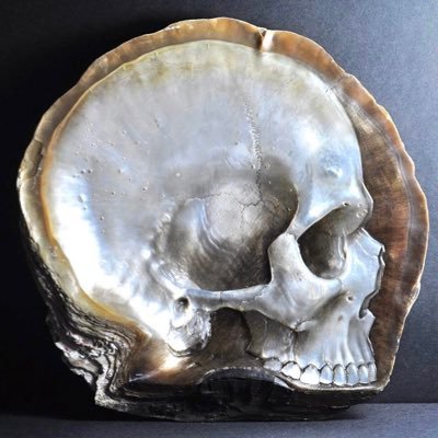 6000openhours's profile picture. Luca…