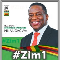 ZANU PF(@ZANUPF_Official) 's Twitter Profileg