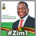 ZANU PF (@ZANUPF_Official) Twitter profile photo