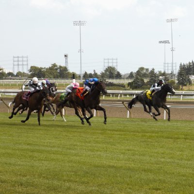 Horse racing passionate.