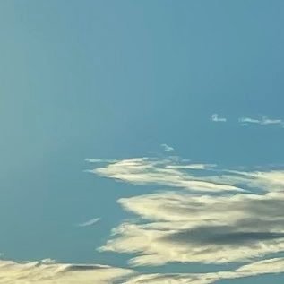 garlicturtlesy2's profile picture. bio bio bio