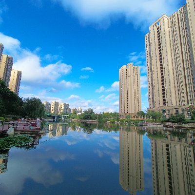 lovelyshandong's profile picture. 