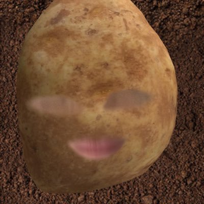 humi0814's profile picture. 北大東→陽明高校卒業→KBC情報ビジネス科 2年➡︎サービスエンジニア。23歳なりました。 気軽にフォローお願いします！