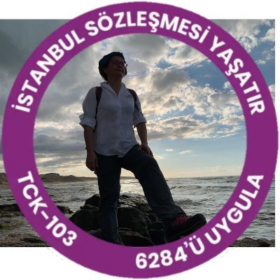 Geoscientist - Earthquake Geologist / İUC - TÜBİTAK - İTÜ