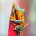 WildLife (@wildlife1111) Twitter profile photo WildLife (@wildlife1111) Twitter profile photo