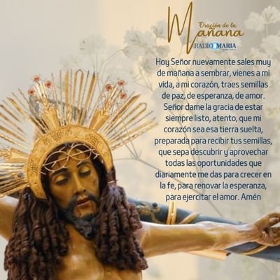MaduroNicolo's profile picture. Feliz de la vida que dios nos regala