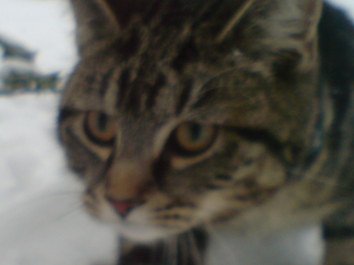 cainPW's profile picture. 