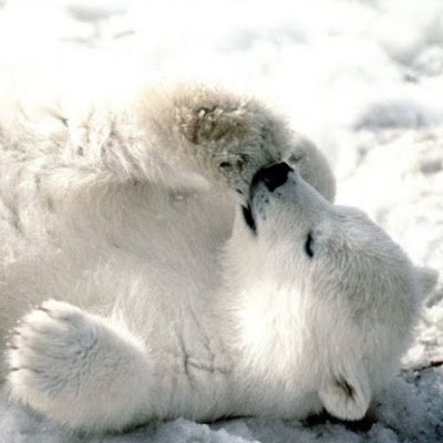 iamian1999's profile picture. Nothing speical.