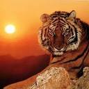 richard blanco - @rabcaleca - Twitter