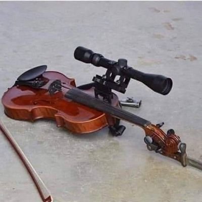 hitmerun's profile picture. which contrives through the medium of the verse structure to sublimate this, transcend that, and come to terms with the fundamental dichotomies of the other
