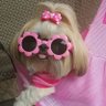 Real__Answer's profile picture.