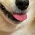 GIVEN (@2pBq1) Twitter profile photo GIVEN (@2pBq1) Twitter profile photo