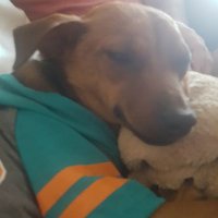 finfansd (@finfansd) 's Twitter Profile