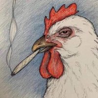Fried Chicken (@fried_thang) 's Twitter Profile Photo Fried Chicken (@fried_thang) 's Twitter Profile Photo