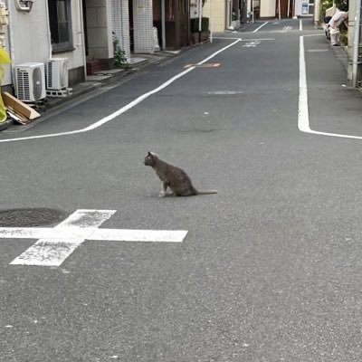 はとちゃん