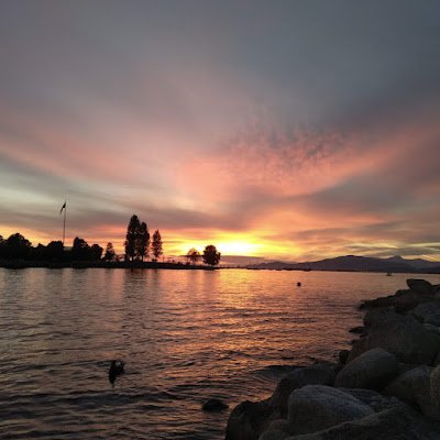 enitefall's profile picture. 