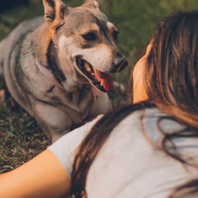 “No one appreciates the very special genius of your conversation as the dog does.” Let care for our dog 🐕