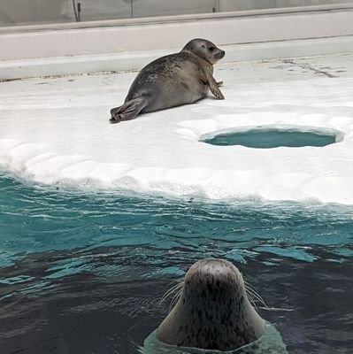 KEIRN819's profile picture. ガハハ！