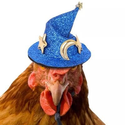 Poule concouriste à la recherche de personnes à mentionner pour gagner 🐔✨