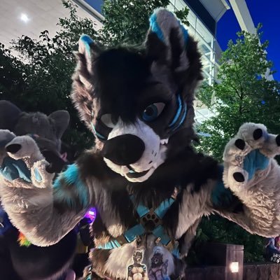 Just a friendly blueberry wuff | He/Him | Accountant Doggo | 18+ to Follow | @Fursonalities suitor 💙|
