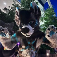 Dustwolf (@thedustywuffy) 's Twitter Profile