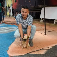Sigifredo Otalvaro (@sigifredootal) 's Twitter Profile