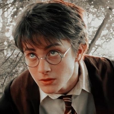 Gryffindor♡  •  Cabin 3♡  |  Parabatai  @hotyturner 
«Draco dormiens nunquam titillandus.»