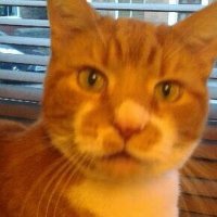 Skippersmam🇪🇺 (@shirleytowers2) 's Twitter Profile